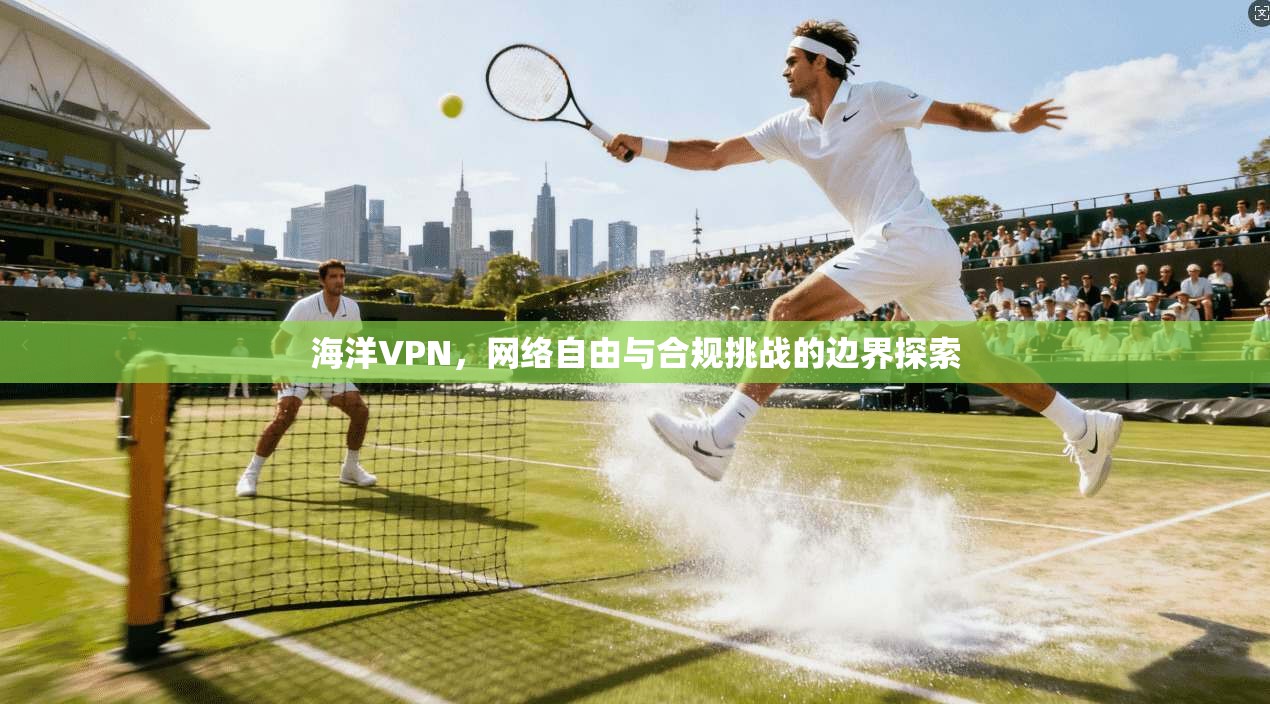 海洋VPN，网络自由与合规挑战的边界探索