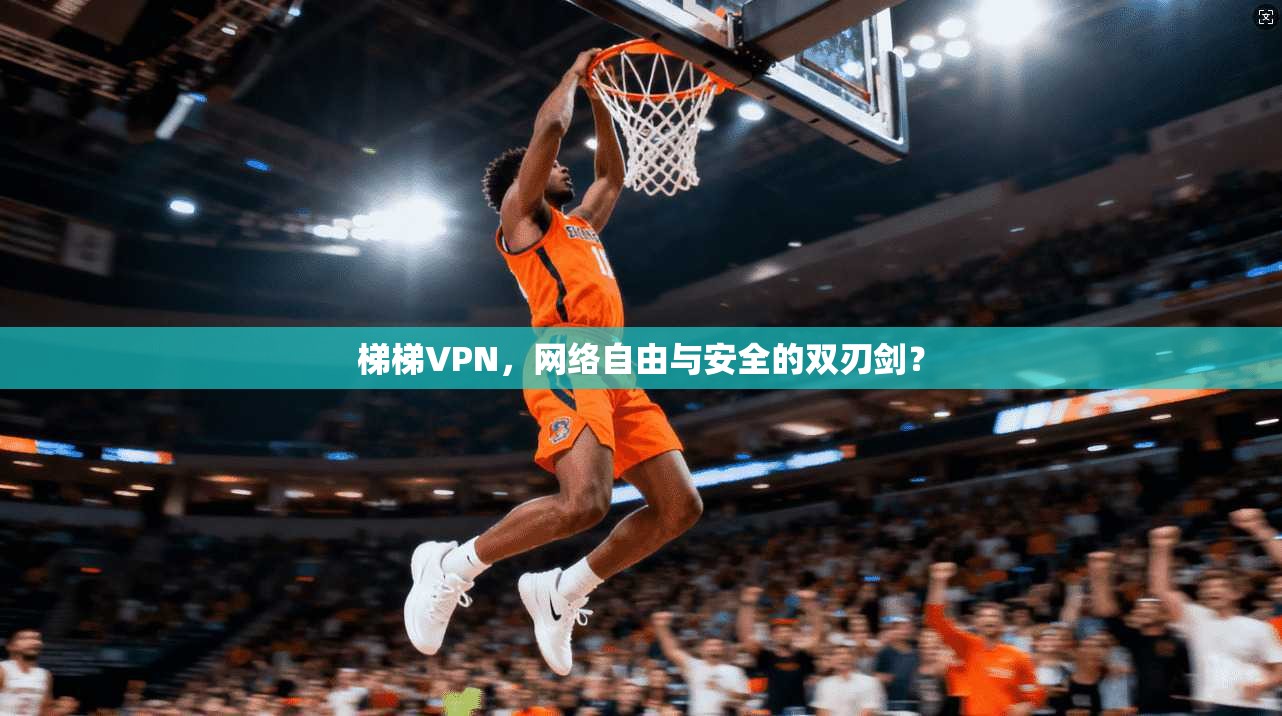 梯梯VPN，网络自由与安全的双刃剑？