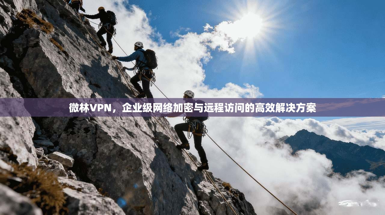 微林VPN,企业级网络加密与远程访问的高效解决方案