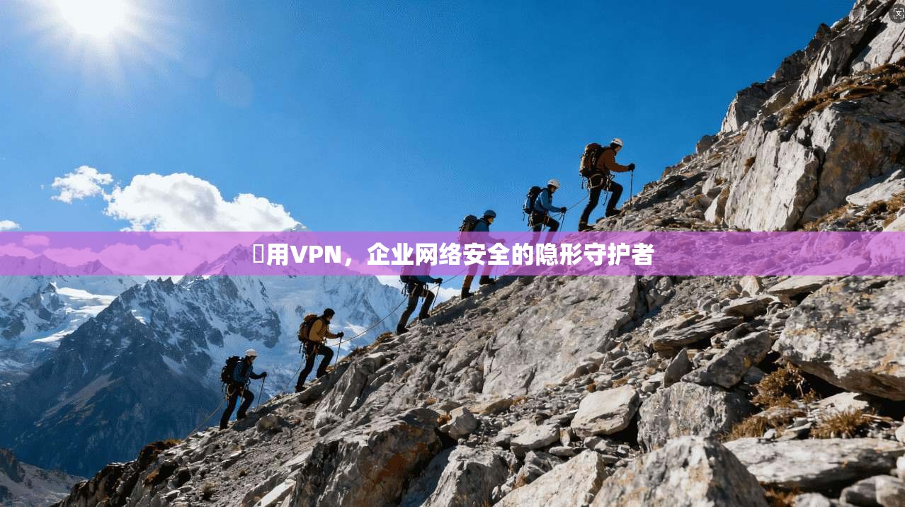 專用VPN,企业网络安全的隐形守护者