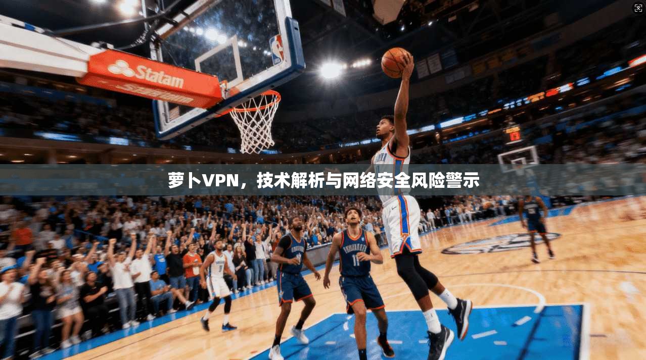 萝卜VPN，技术解析与网络安全风险警示