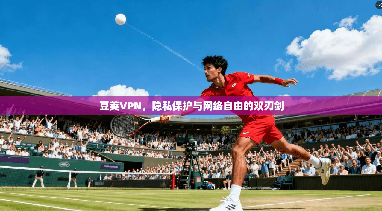 豆荚VPN，隐私保护与网络自由的双刃剑