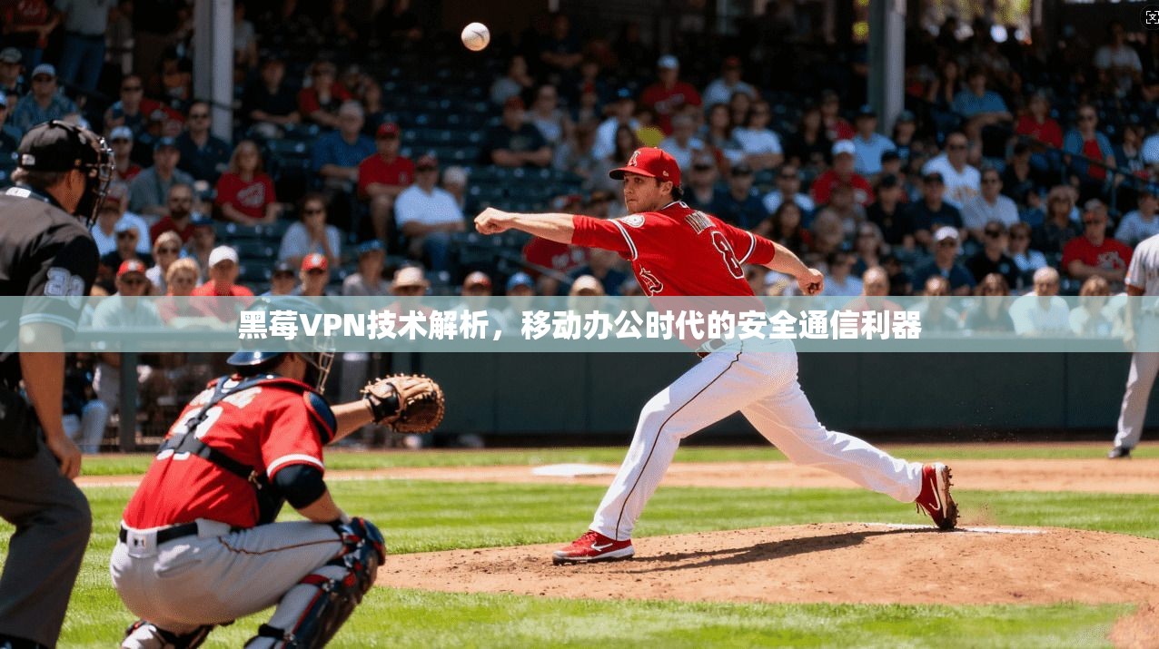 黑莓VPN技术解析，移动办公时代的安全通信利器