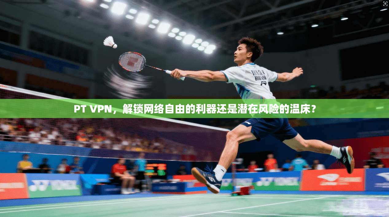 PT VPN，解锁网络自由的利器还是潜在风险的温床？