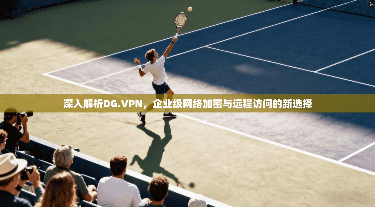 深入解析DG.VPN，企业级网络加密与远程访问的新选择