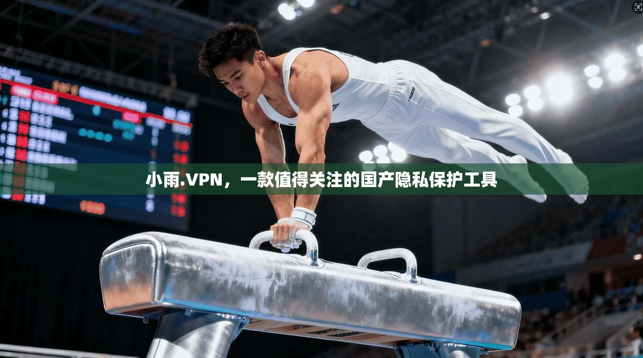 小雨.VPN，一款值得关注的国产隐私保护工具