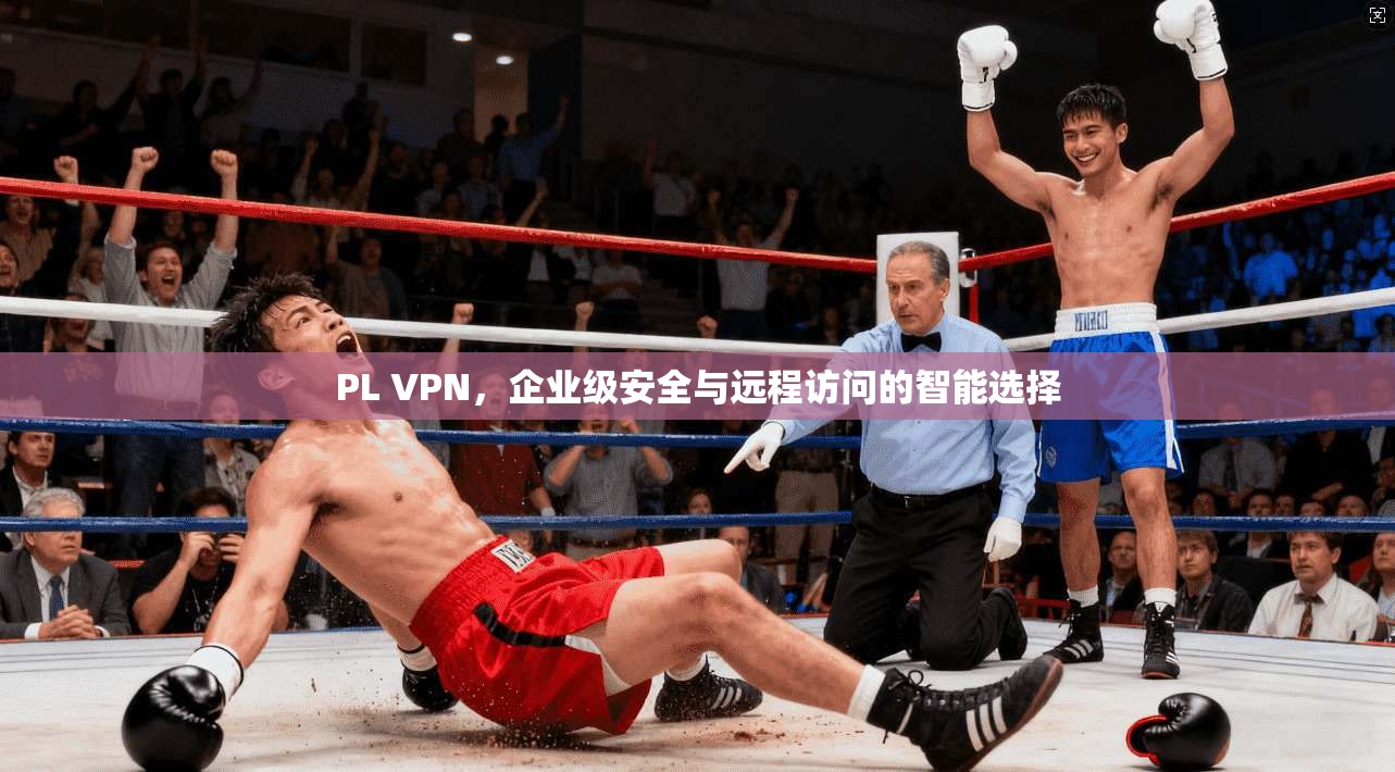 PL VPN，企业级安全与远程访问的智能选择