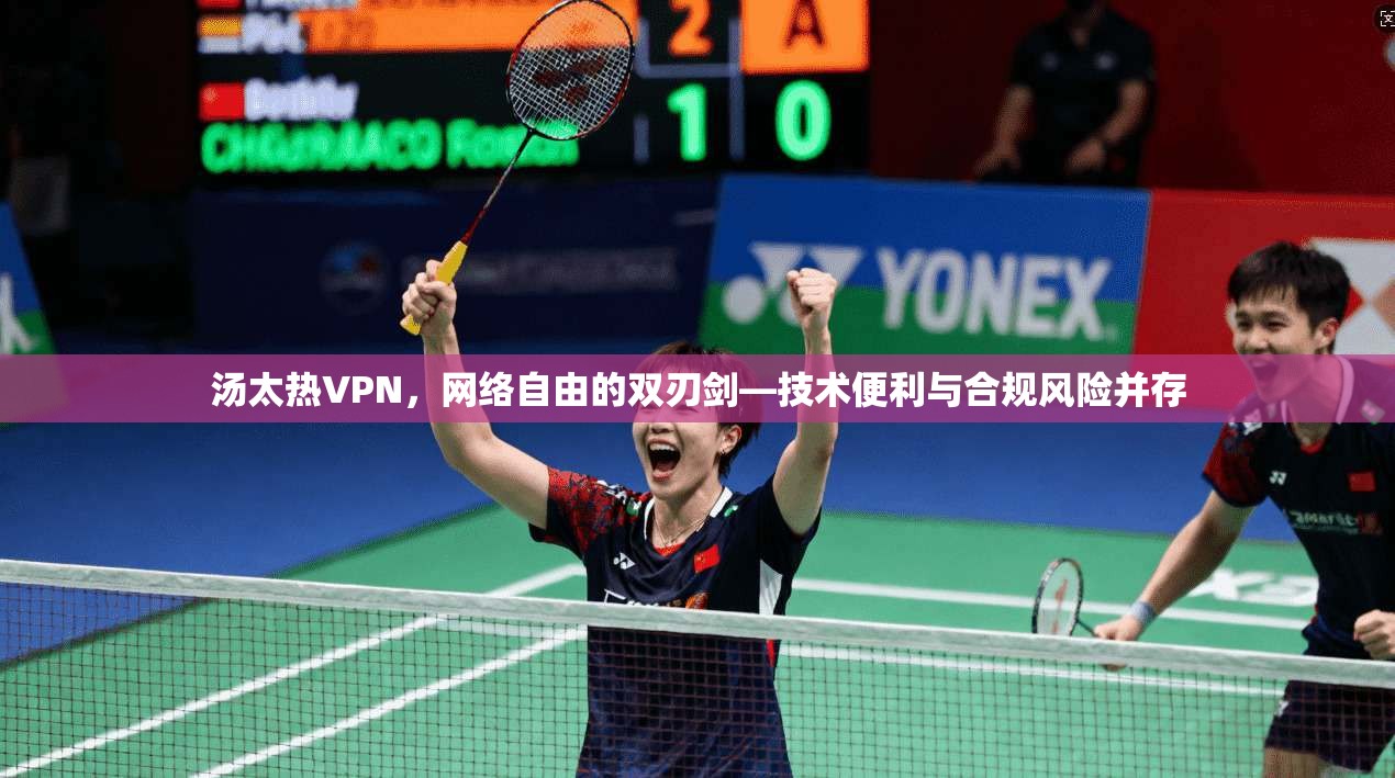 汤太热VPN，网络自由的双刃剑—技术便利与合规风险并存