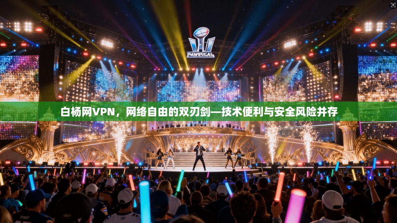 白杨网VPN,网络自由的双刃剑—技术便利与安全风险并存