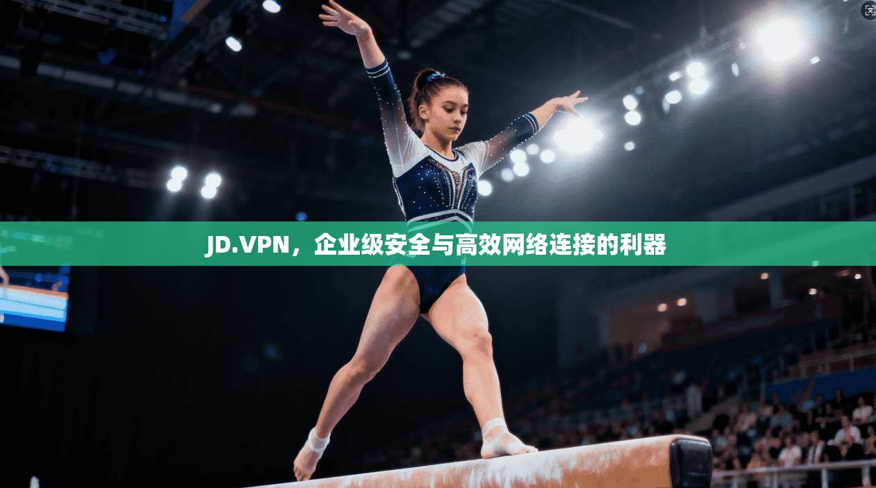 JD.VPN,企业级安全与高效网络连接的利器
