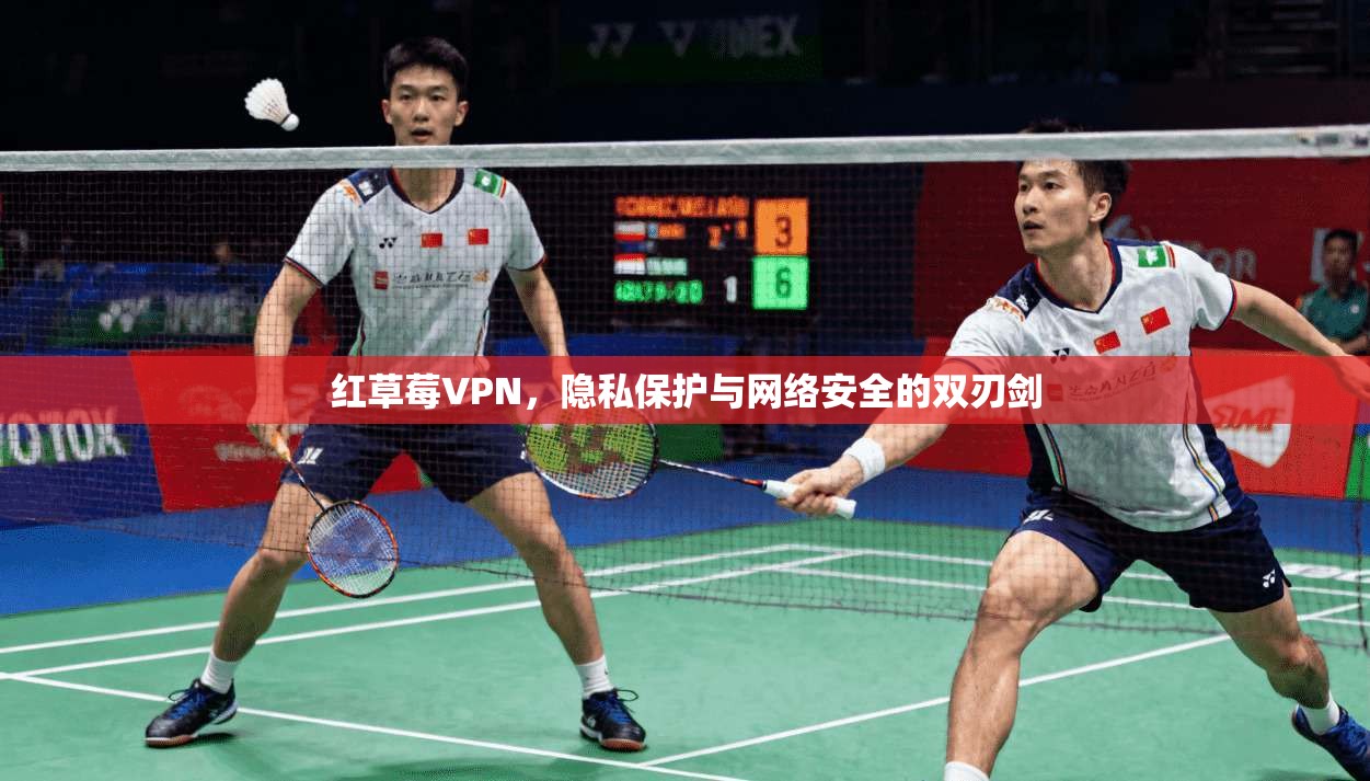 红草莓VPN，隐私保护与网络安全的双刃剑