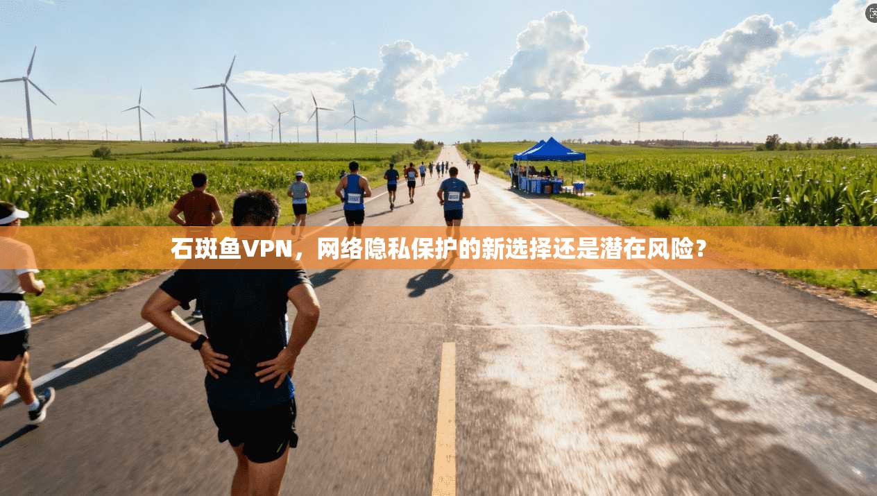 石斑鱼VPN,网络隐私保护的新选择还是潜在风险?