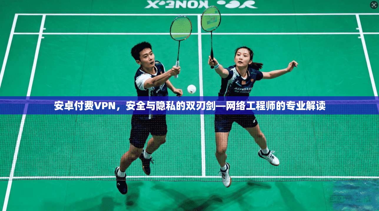 安卓付费VPN,安全与隐私的双刃剑—网络工程师的专业解读