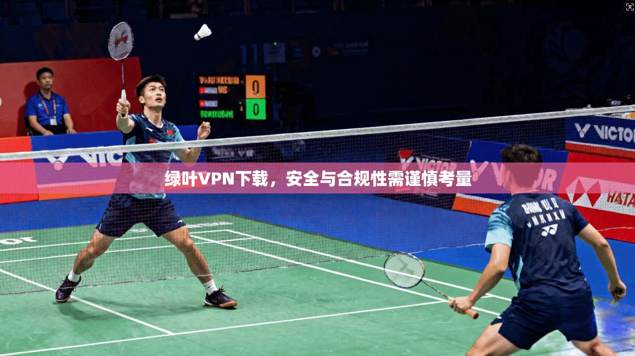 绿叶VPN下载,安全与合规性需谨慎考量