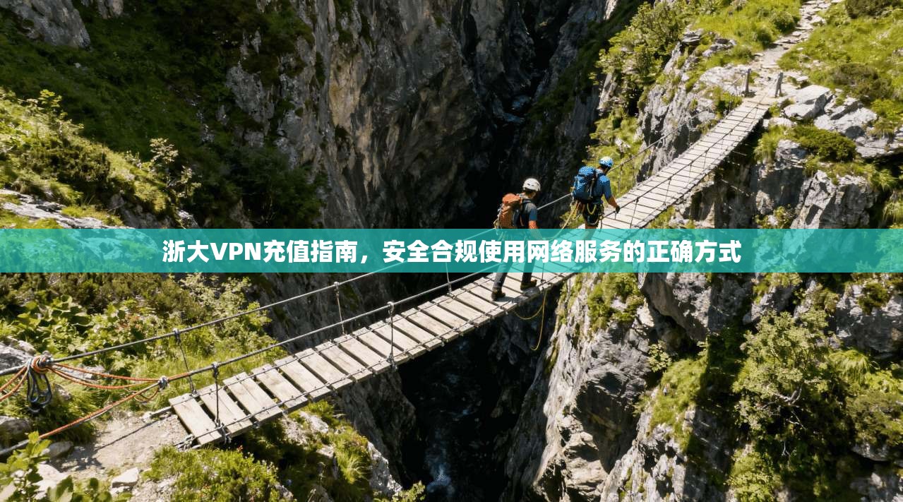 浙大VPN充值指南，安全合规使用网络服务的正确方式