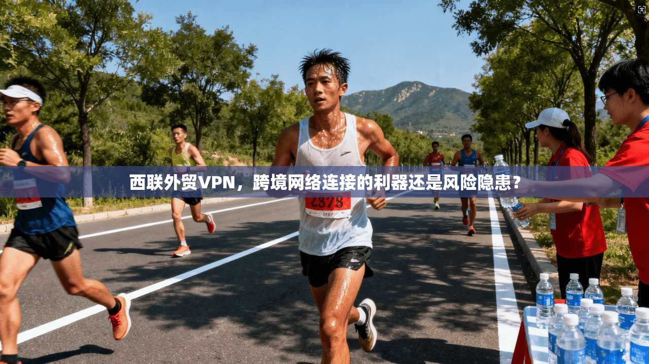 西联外贸VPN，跨境网络连接的利器还是风险隐患？