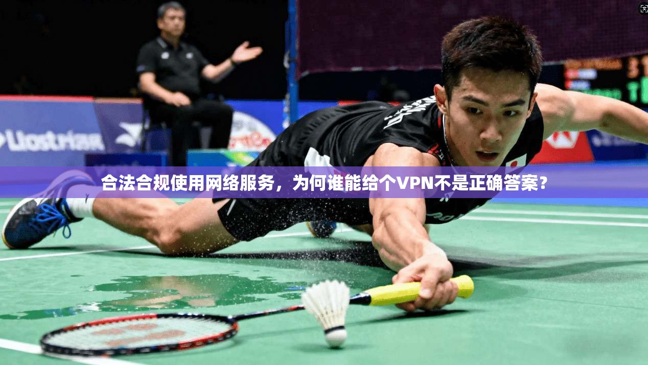 合法合规使用网络服务,为何谁能给个VPN不是正确答案?