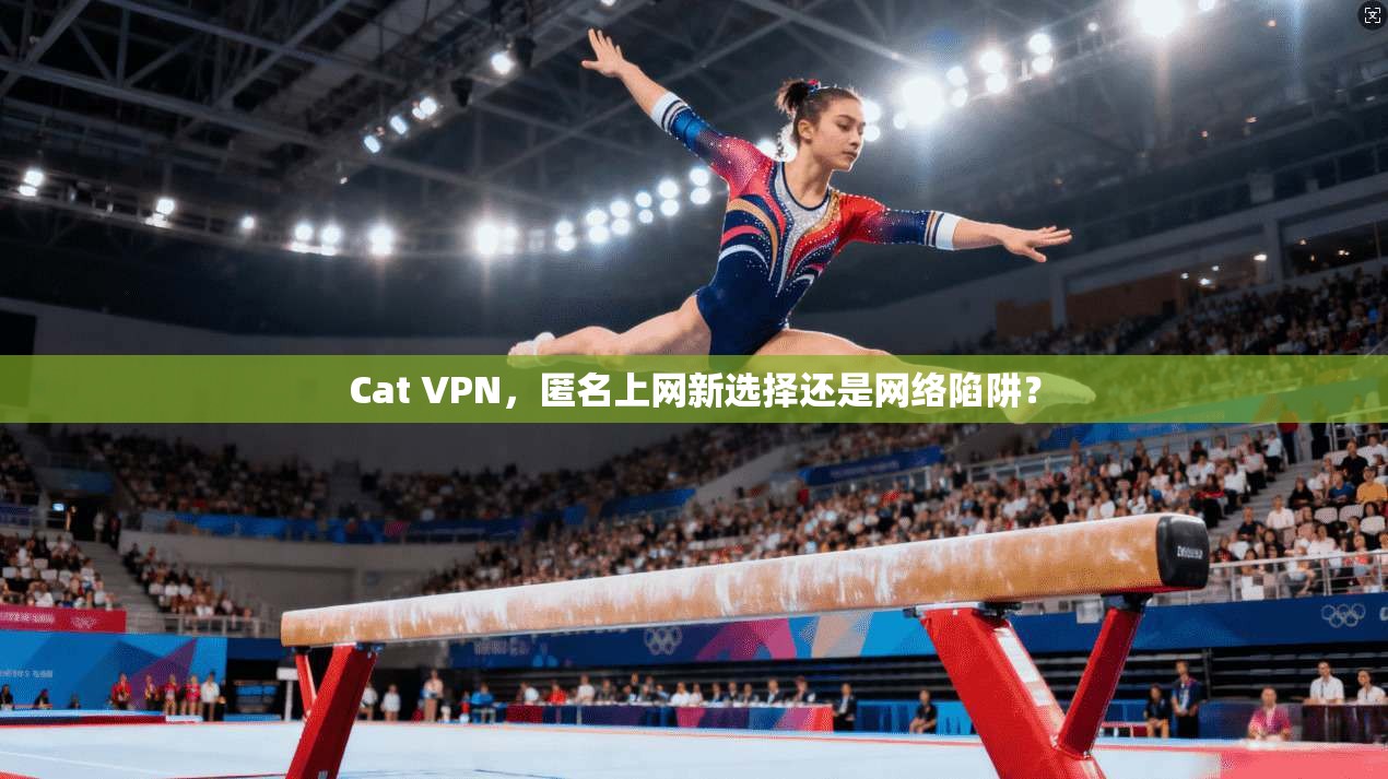 Cat VPN，匿名上网新选择还是网络陷阱？