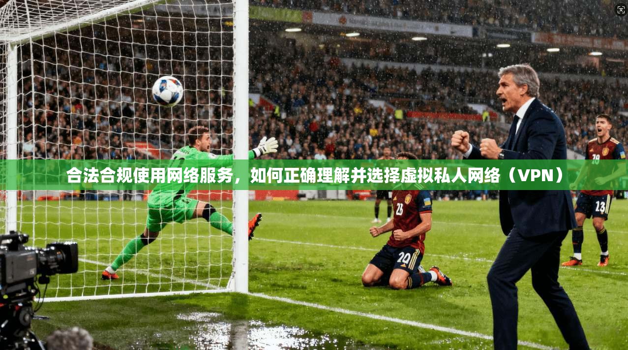 合法合规使用网络服务，如何正确理解并选择虚拟私人网络（VPN）