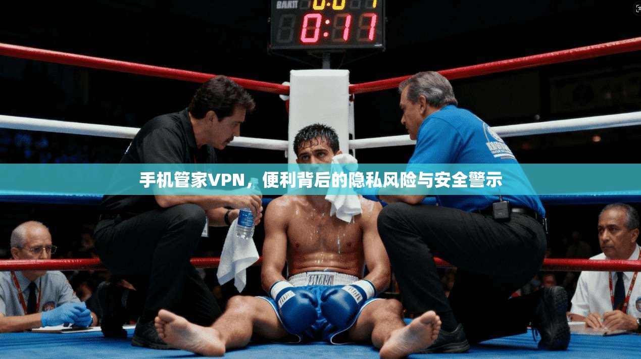 手机管家VPN，便利背后的隐私风险与安全警示