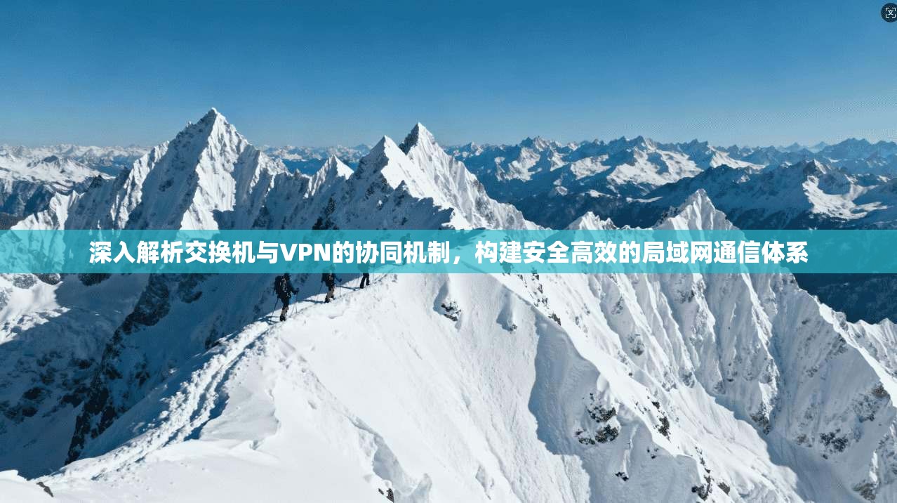 深入解析交换机与VPN的协同机制,构建安全高效的局域网通信体系