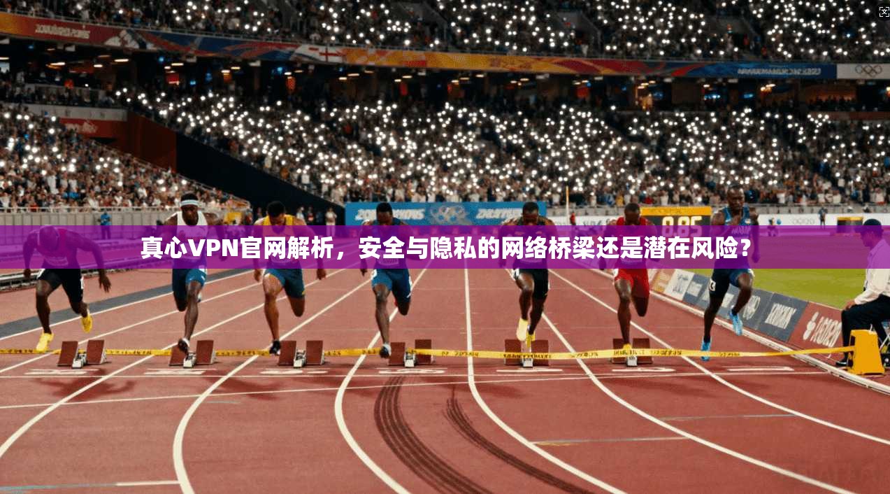 真心VPN官网解析，安全与隐私的网络桥梁还是潜在风险？