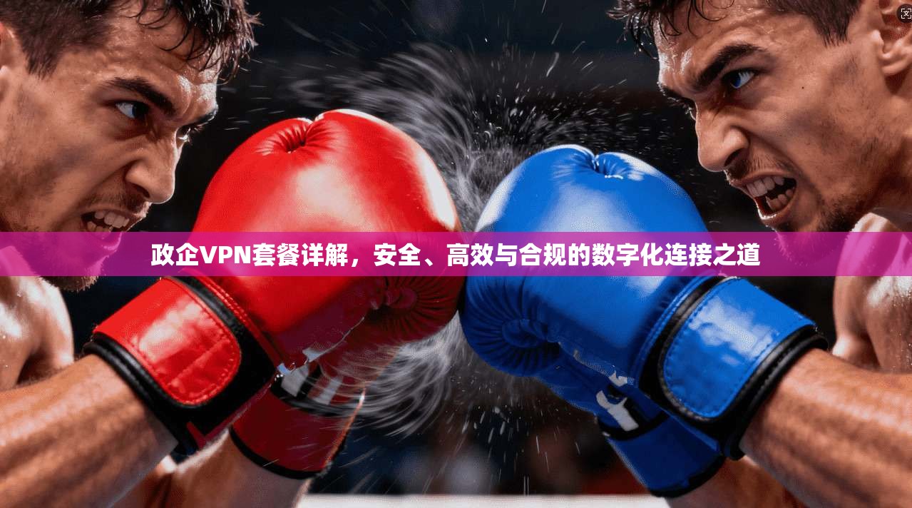 政企VPN套餐详解,安全、高效与合规的数字化连接之道