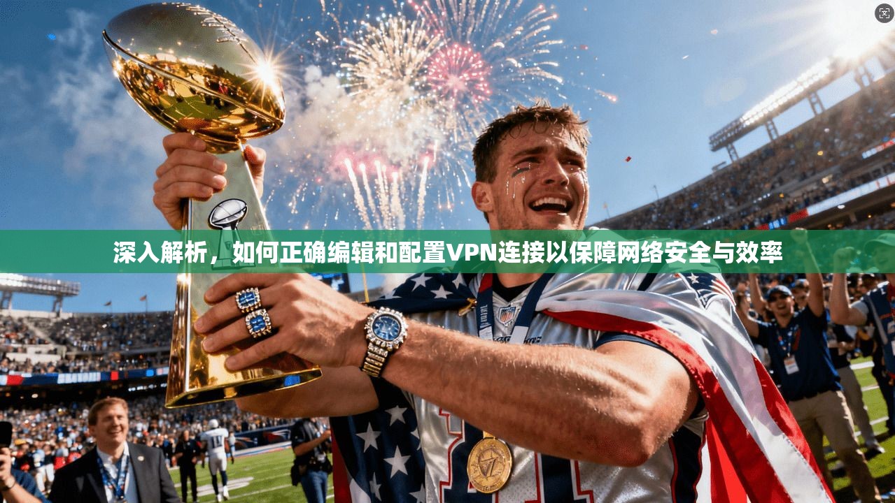 深入解析，如何正确编辑和配置VPN连接以保障网络安全与效率