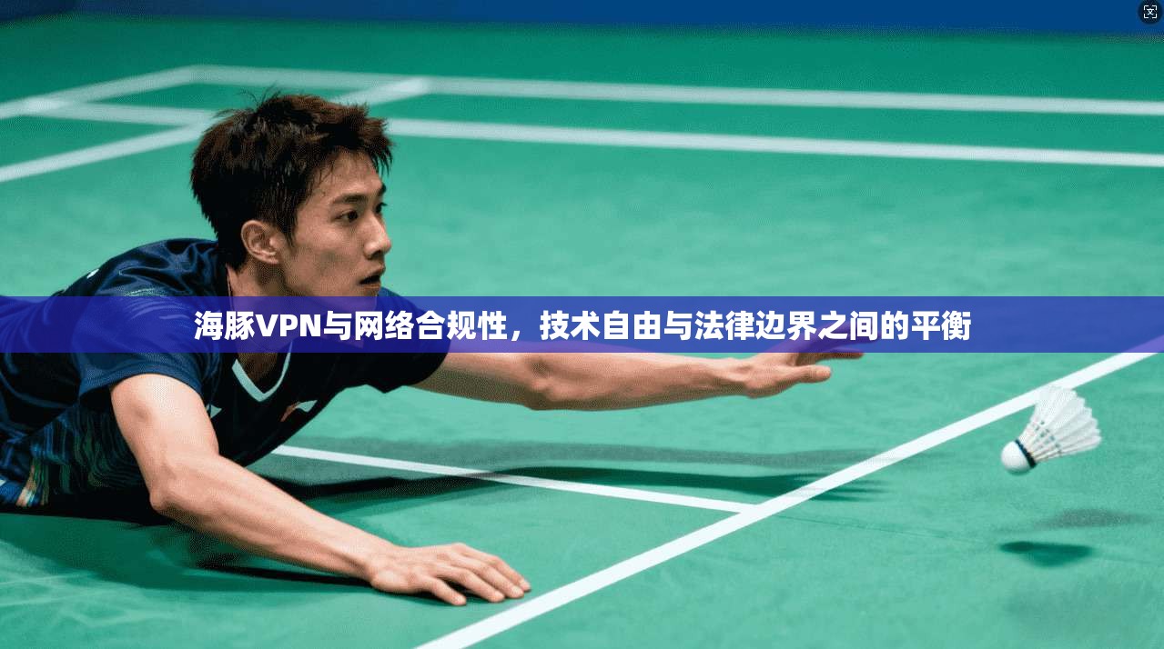 海豚VPN与网络合规性，技术自由与法律边界之间的平衡