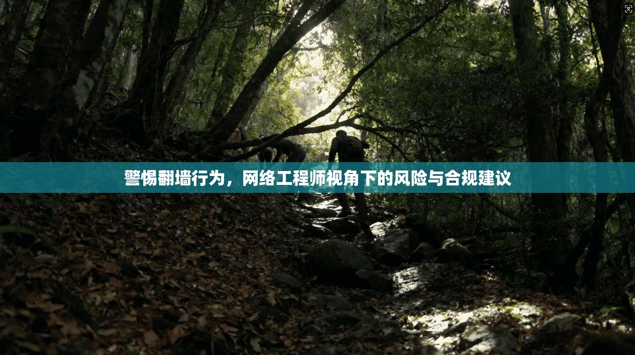 警惕翻墙行为，网络工程师视角下的风险与合规建议
