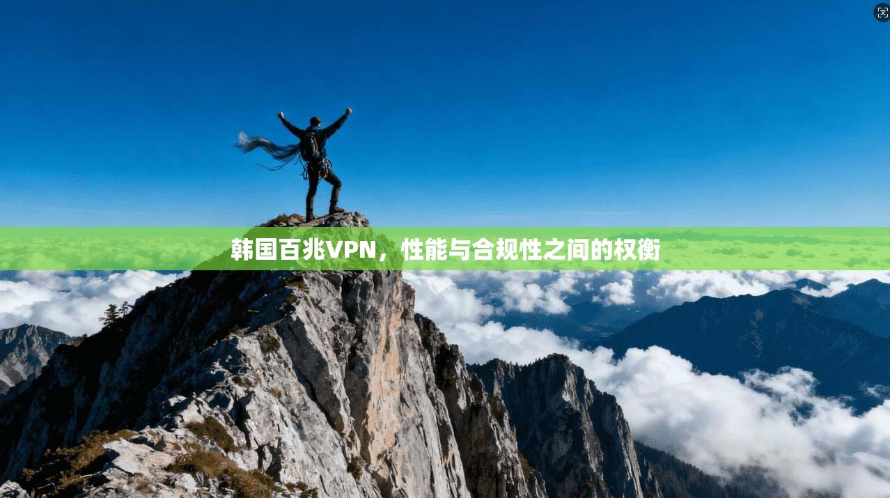 韩国百兆VPN，性能与合规性之间的权衡