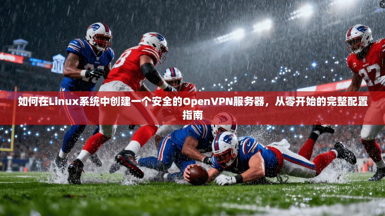 如何在Linux系统中创建一个安全的OpenVPN服务器，从零开始的完整配置指南