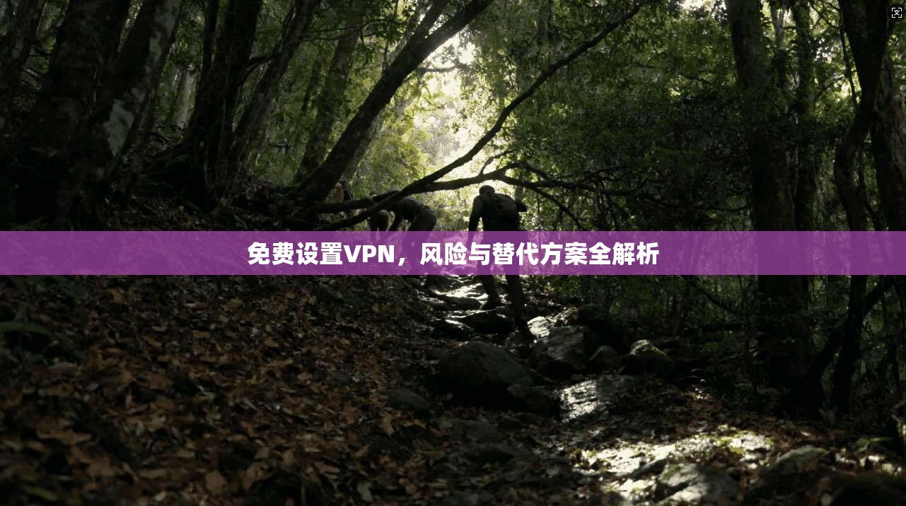 免费设置VPN，风险与替代方案全解析
