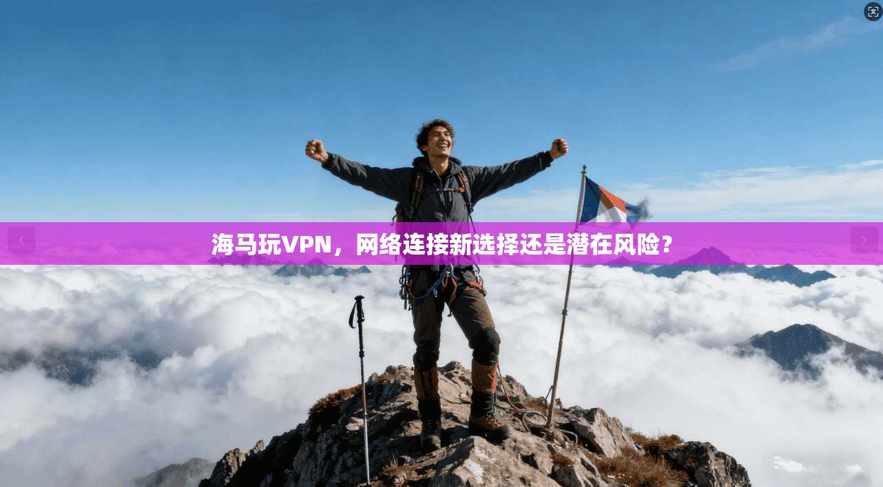 海马玩VPN，网络连接新选择还是潜在风险？