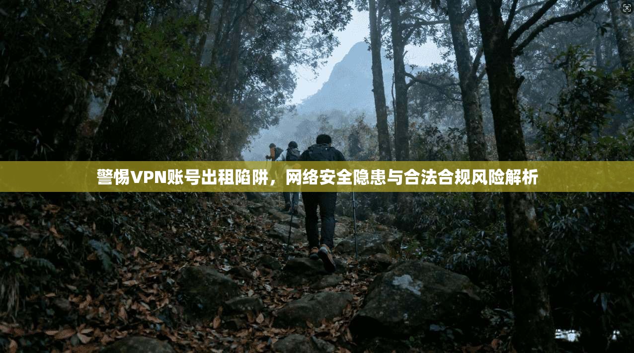 警惕VPN账号出租陷阱，网络安全隐患与合法合规风险解析