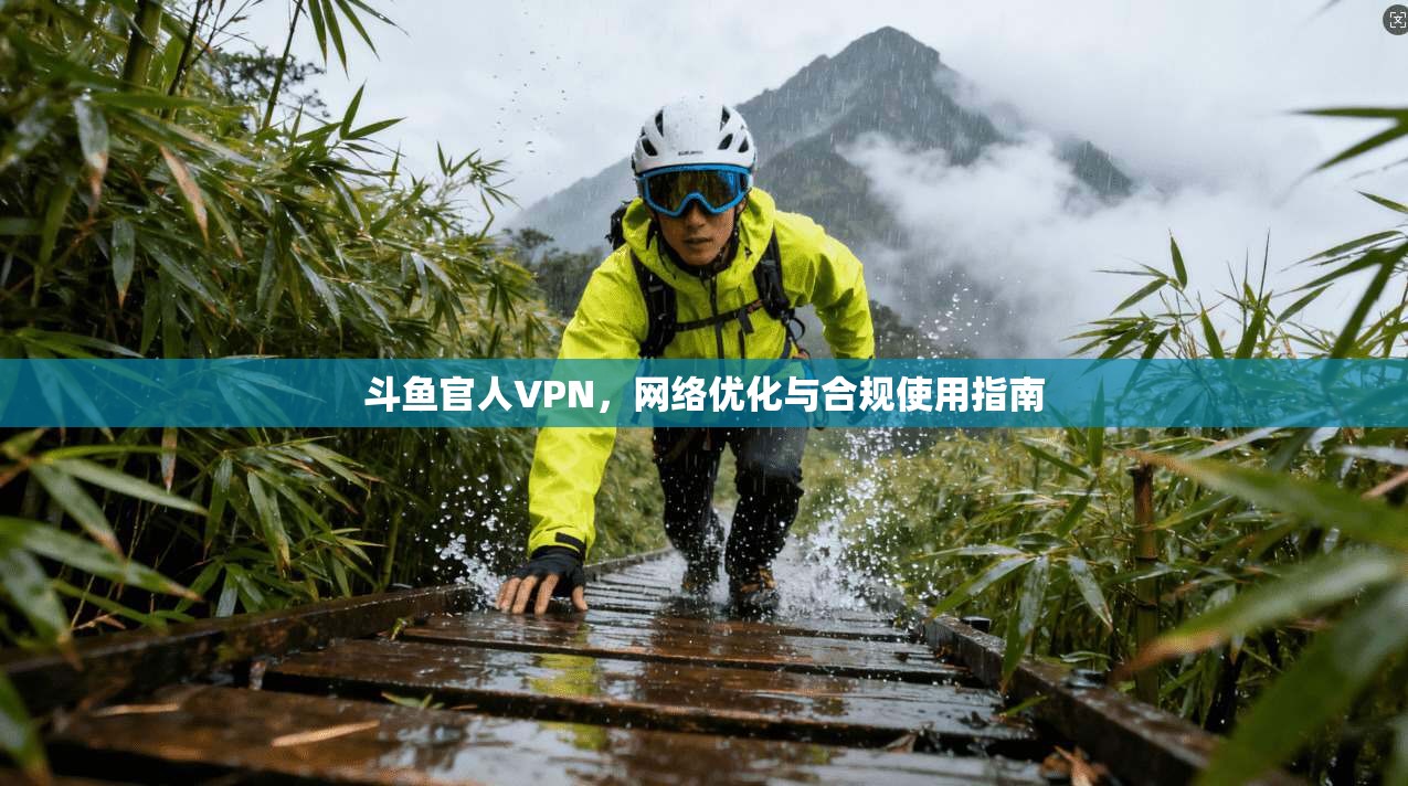 斗鱼官人VPN，网络优化与合规使用指南