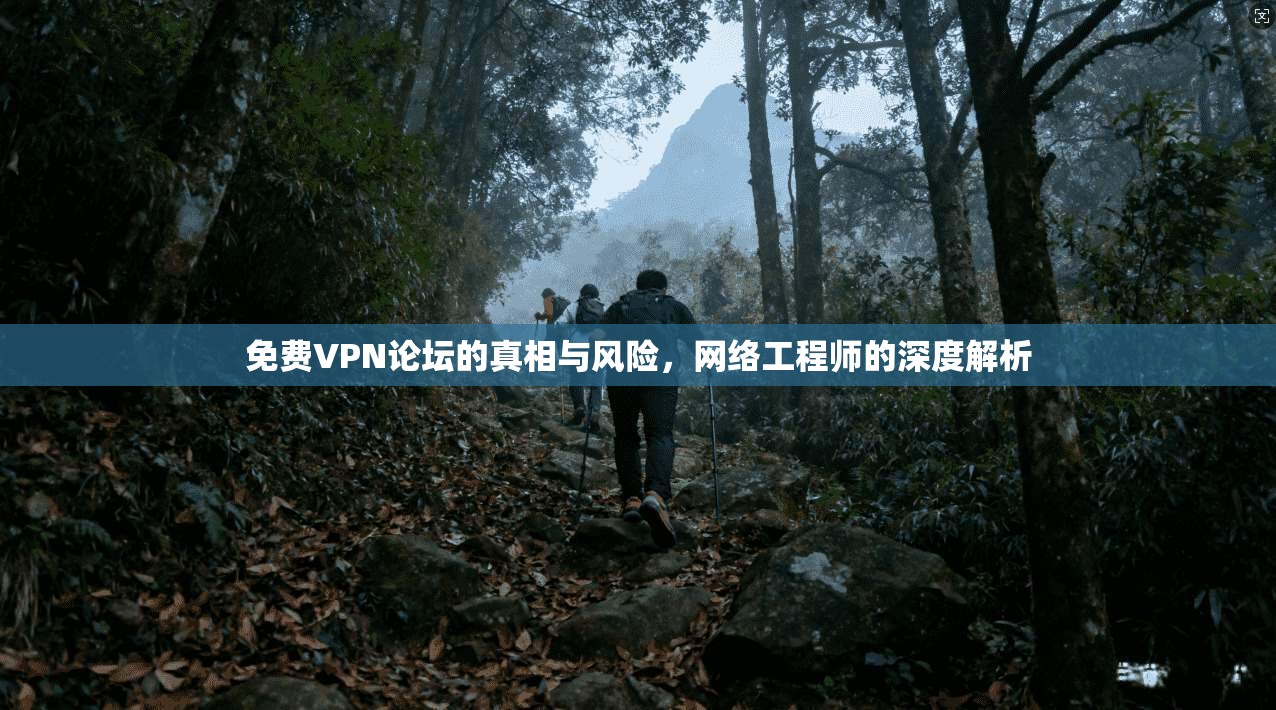 免费VPN论坛的真相与风险，网络工程师的深度解析