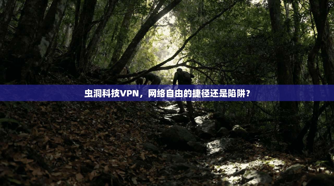 虫洞科技VPN，网络自由的捷径还是陷阱？