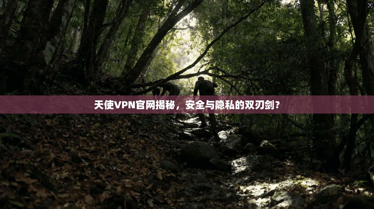 天使VPN官网揭秘,安全与隐私的双刃剑?