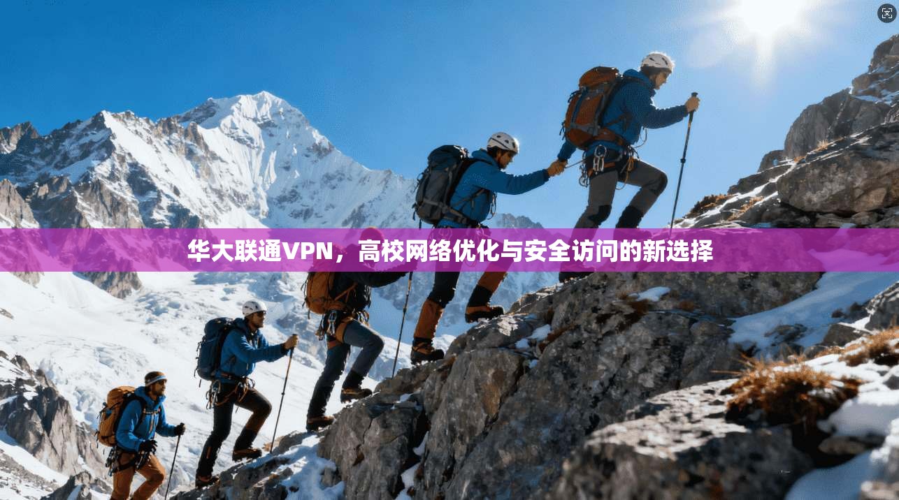华大联通VPN，高校网络优化与安全访问的新选择