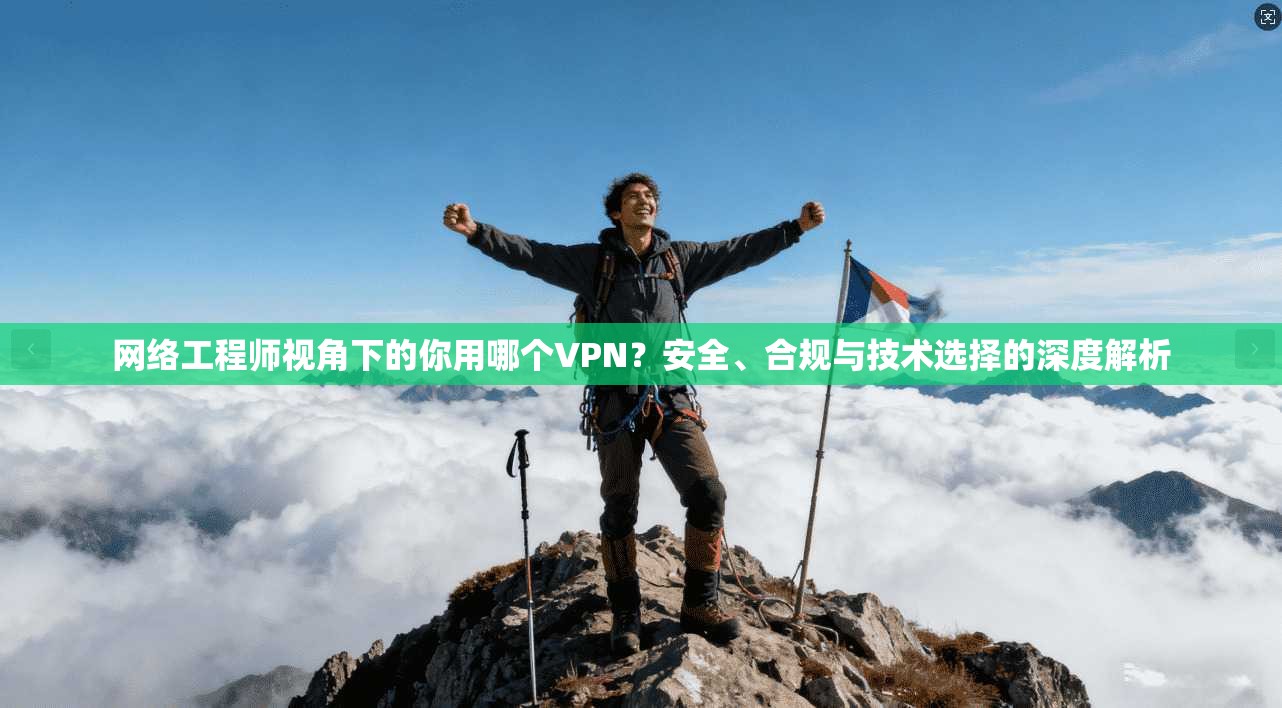 网络工程师视角下的你用哪个VPN？安全、合规与技术选择的深度解析