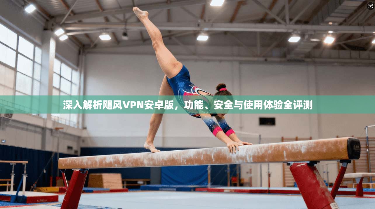 深入解析飓风VPN安卓版，功能、安全与使用体验全评测