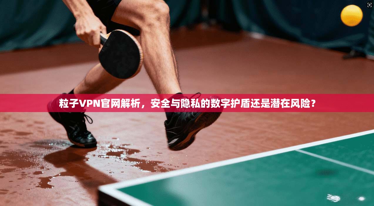 粒子VPN官网解析，安全与隐私的数字护盾还是潜在风险？