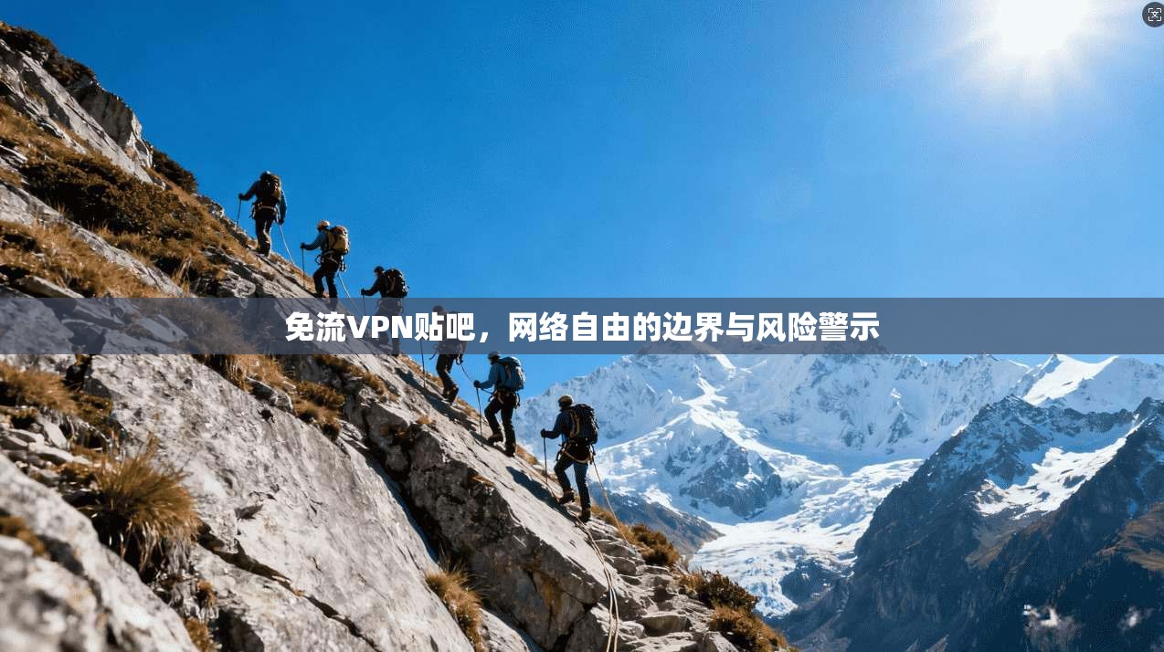 免流VPN贴吧，网络自由的边界与风险警示