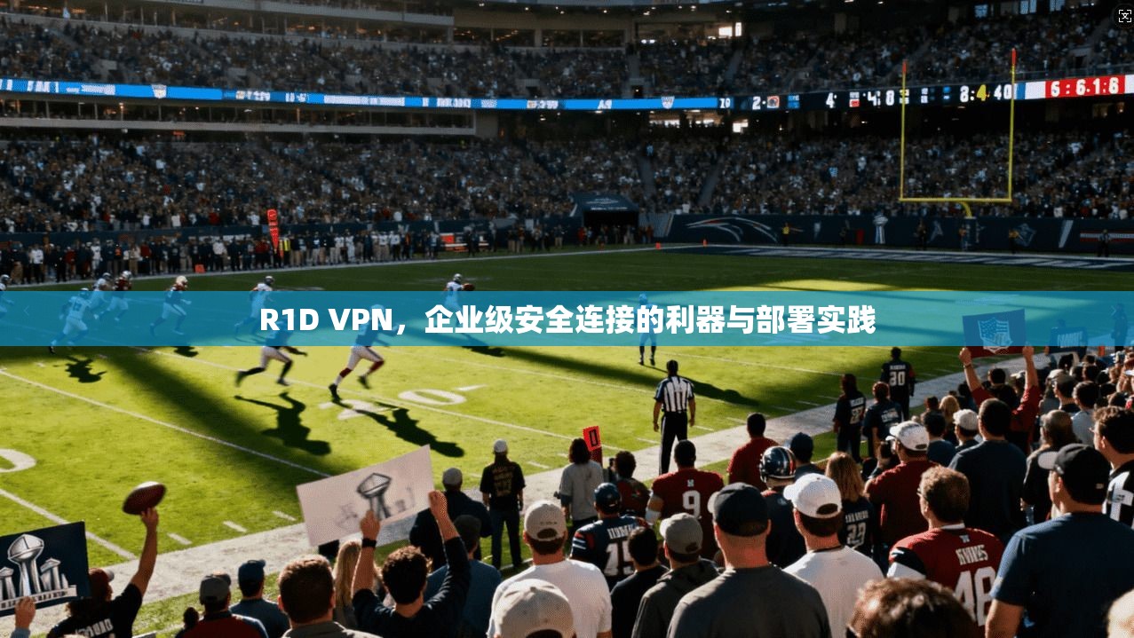 R1D VPN,企业级安全连接的利器与部署实践