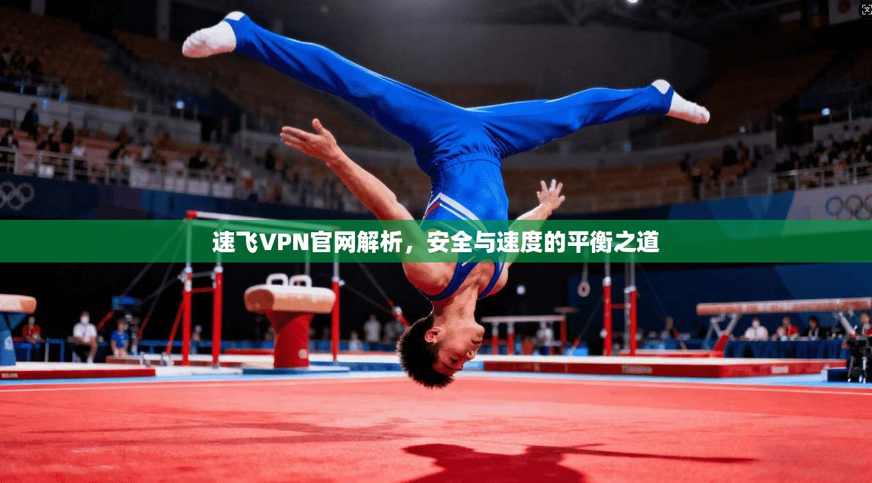 速飞VPN官网解析,安全与速度的平衡之道