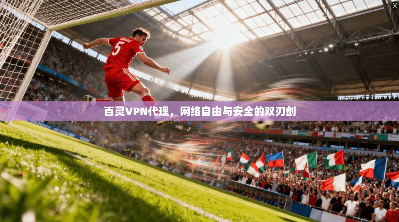 百灵VPN代理，网络自由与安全的双刃剑