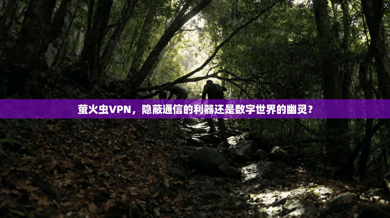 萤火虫VPN,隐蔽通信的利器还是数字世界的幽灵?