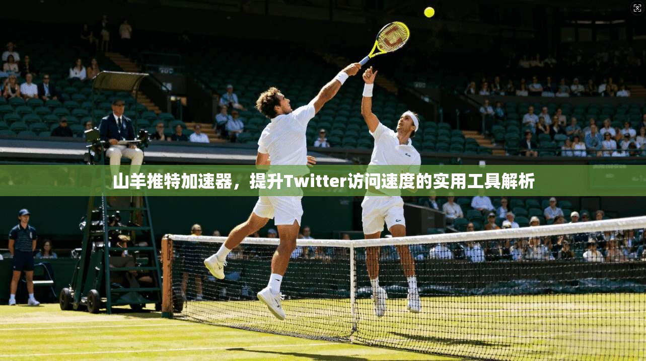 山羊推特加速器，提升Twitter访问速度的实用工具解析