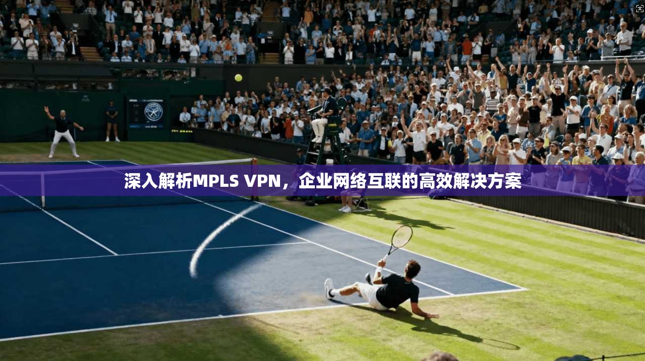 深入解析MPLS VPN，企业网络互联的高效解决方案